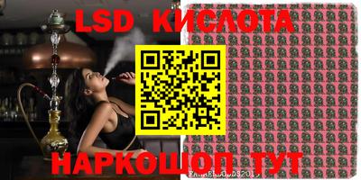 скорость Новозыбков
