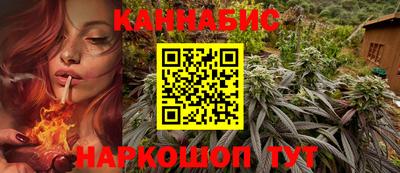 скорость Новозыбков