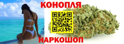 мдпв Новокубанск