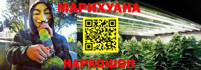 скорость Новозыбков