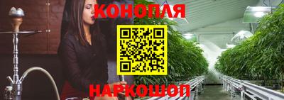скорость Новозыбков