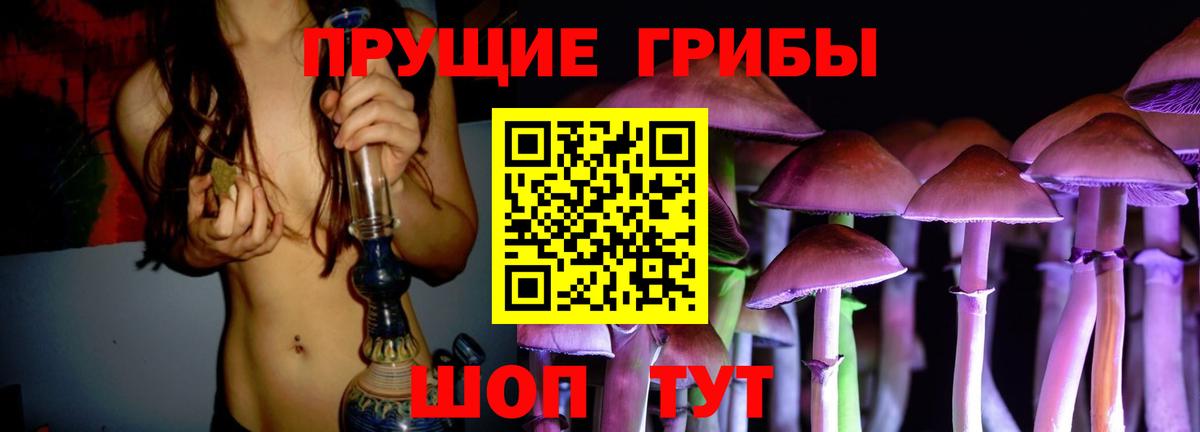 Сальск  Галлюциногенные грибы Cubensis  закладки  Вход с VPN 